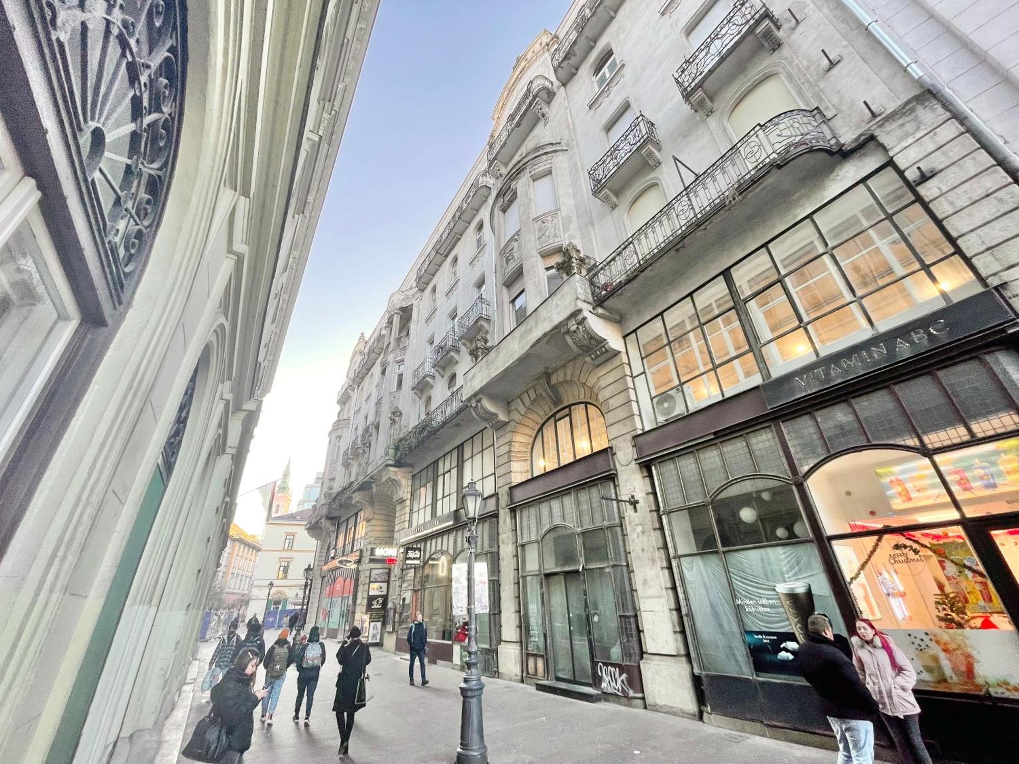 Friend Of Deak Ferenc Apartment Budapest Exterior photo